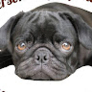 Meet your Posher, Connie